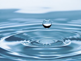 World Environment Day: These Simple, Eco-Friendly Practices Will Reduce Your Power, Water Bills and Help You Go Green