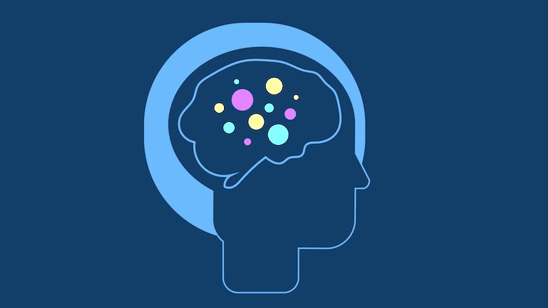 Self-Navigating AI Learns to Take Shortcuts: Study