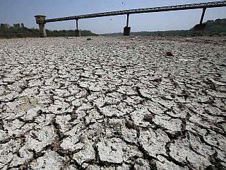 IMD Tests Use of AI in Weather Forecasts Amid Rise in Floods, Droughts