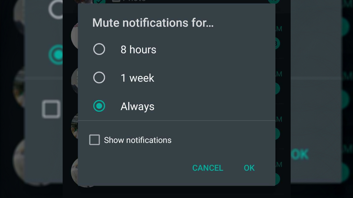 WhatsApp Enables Always Mute, New Storage UI, Media Guidelines Features in Latest Android Beta
