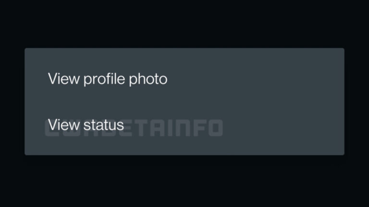 WhatsApp Reportedly Working on Option to View Status Update by Tapping Profile Picture