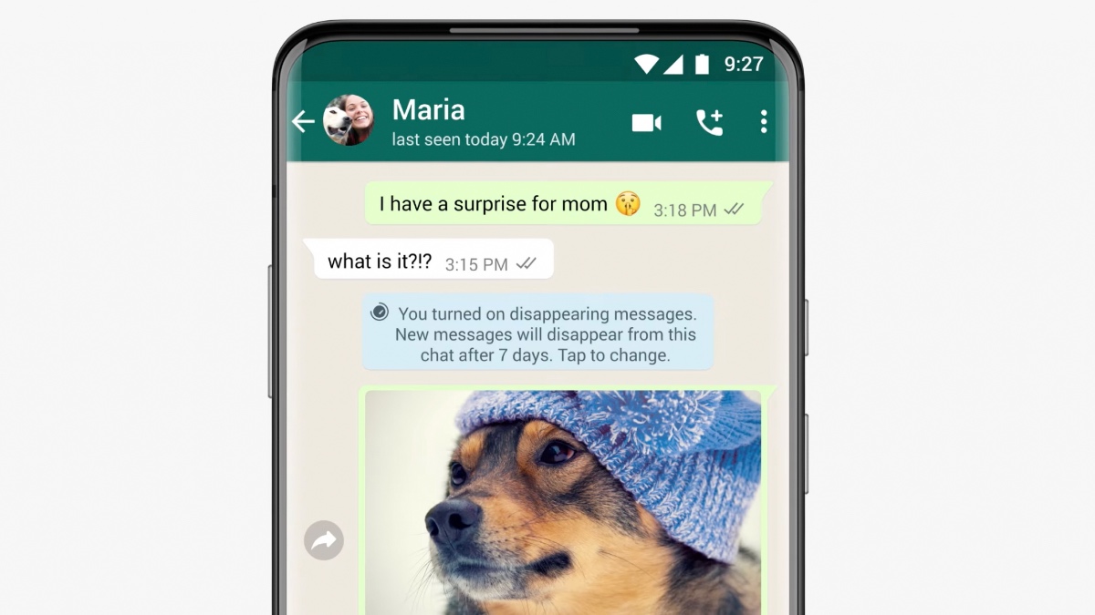WhatsApp Disappearing Messages Now Live in India: How to Use the New Feature on Android, iPhone