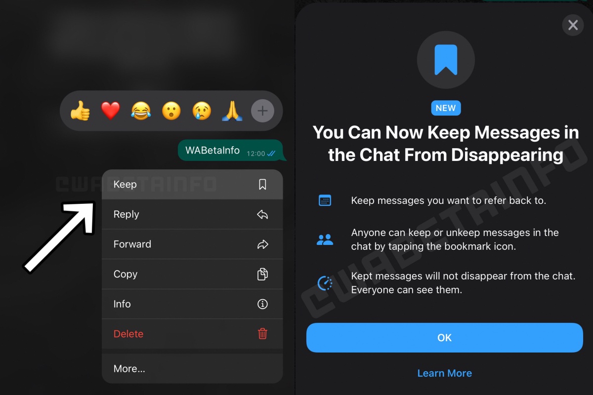 WhatsApp Kept Messages Feature for Saving Disappearing Chats Rolling Out to Beta Testers: Report