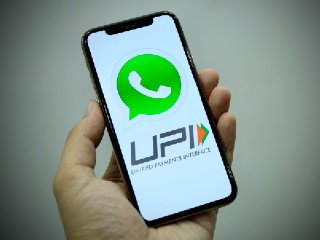 WhatsApp UPI Transaction Volume Declined in January, PhonePe Continues to Lead the Market: NPCI Data