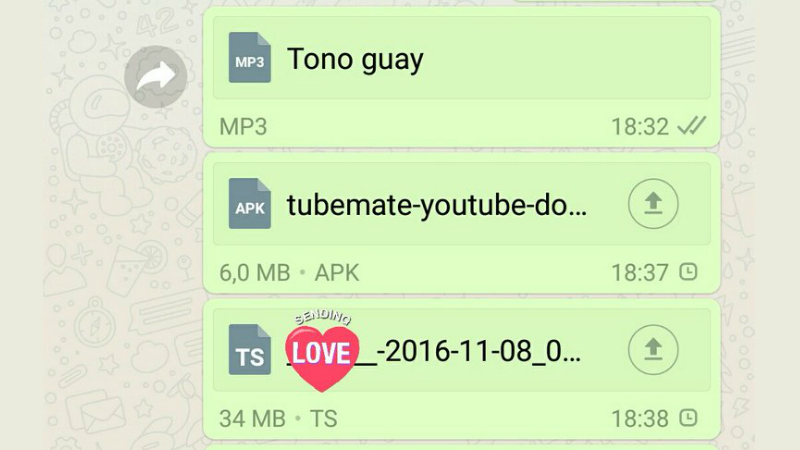 WhatsApp Starts Allowing Sharing of All File Types on Android, iPhone, Windows Phone: Reports