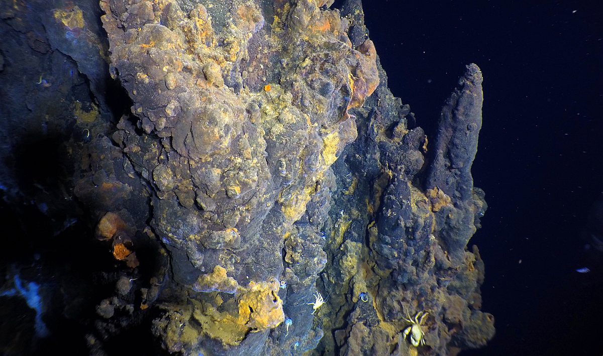 Massive Deep-Sea Hydrothermal Vent Field Discovered in the Depths of the Pacific Ocean: Details