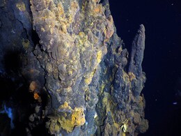 Massive Deep-Sea Hydrothermal Vent Field Discovered in the Depths of the Pacific Ocean: Details Massive Deep-Sea Hydrothermal Vent Field Discovered in the Depths of the Pacific Ocean: Details