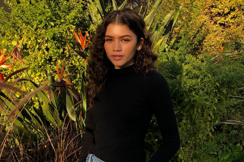 Spider-Man Star Zendaya in Talks to Play Love Interest in Denis Villeneuve&rsquo;s Dune: Report
