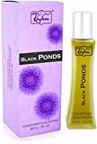 Ponds & Black Force Eau De Parfum (60ML, Pack of 6)