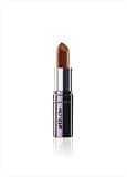 Amway Attitude Intense Color Lipstick (Chestnut)