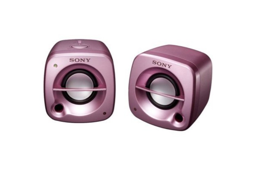 Sony SRS HG1/H Wireless Bluetooth Speaker