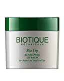 Biotique Bio Lip Balm (12GM)