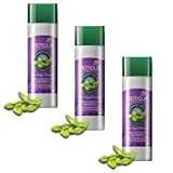 Biotique Bio Soya Protein Shampoo (120ML, Pack of 3)