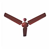 Plaza Blizz Kool Ceiling Fan (Brown)
