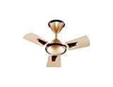 Rallifan Blossom Ceiling Fan (Gold)