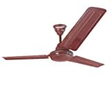 Maharaja Whiteline Breeze Ceiling Fan (Brown)