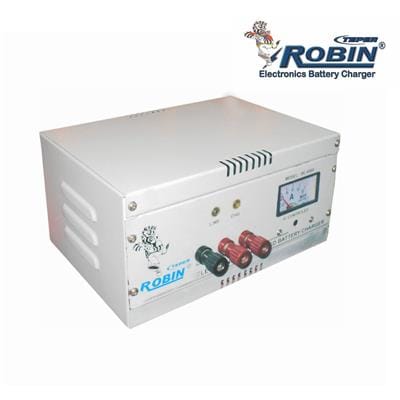Robin Teper BT-6000 A Voltage Stabilizer (Grey)