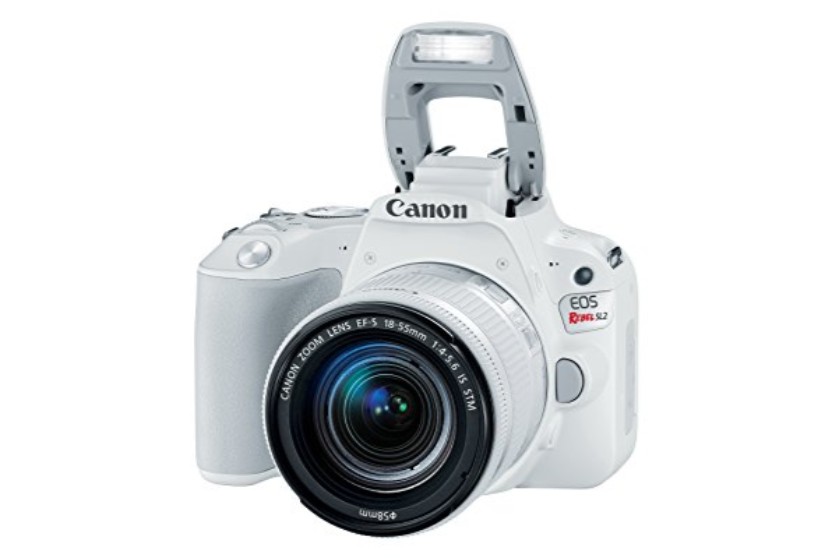 Canon EOS Rebel SL2 DSLR Camera Online at Lowest Price in India