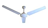 Amul Capital Ceiling Fan (White)