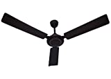 Amul Capital Ceiling Fan (Brown)