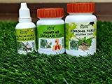 Patanjali Coronil Kit (Pack of 1)