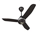 Relaxo Dash Ceiling Fan (Black)