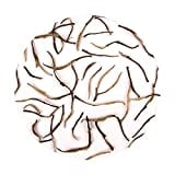 Teaswan Doke Silver Needle White Tea (50GM)