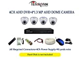 Tentronix Dome CCTV Security Camera (4 Channel)