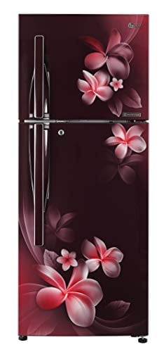 LG 260 L Frost Free Double Door 3 Star Refrigerator (GL T292RSPN)