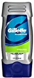 Gillette Dry Skin Hydrator Body Wash