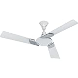 Eveready Eenvee Ceiling Fan (White & Silver)