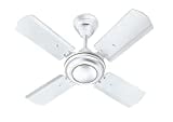 Eveready FAB Ceiling Fan (White)