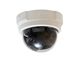 LevelOne FCS3063 IP CCTV Security Camera (White)