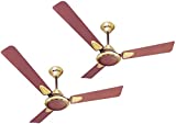 Activa Galaxy 2 Ceiling Fan (Maroon)