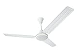 Maharaja Whiteline Gusto Ceiling Fan (White)