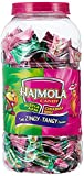 Dabur Hajmola Candy Tablet (260 Tablets)