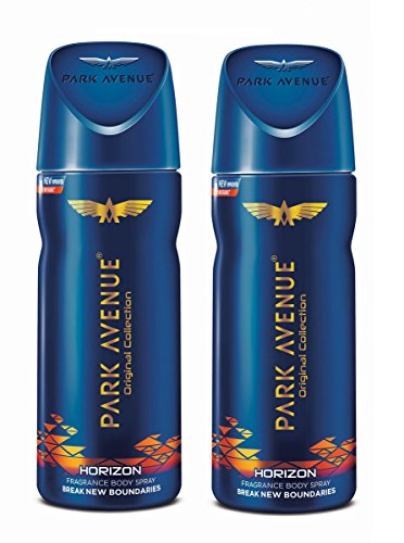 Park Avenue Horizon Perfume 2025