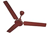 Polycab Juno Ceiling Fan (Brown)