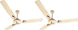 Kathy K-48 Star Ceiling Fan (Ivory)