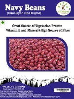Value Life Kidney Beans Rajma (Red, 250GM)