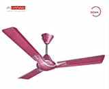 Janaki Lancer Ceiling Fan (Pink)