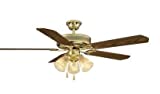 Hampton Bay Landmark Plus Ceiling Fan (Antique Brass)