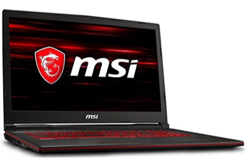 MSI GL73 8RD 282