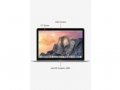 Apple MacBook MF855HN/A