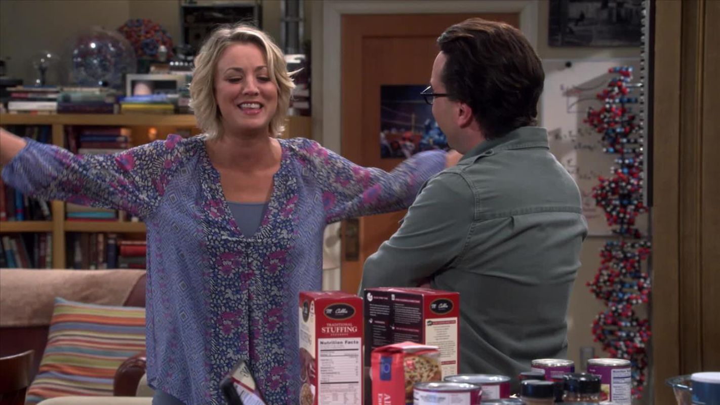 The Big Bang Theory Season 9 Web Series (2015) | Release Date, Review ...