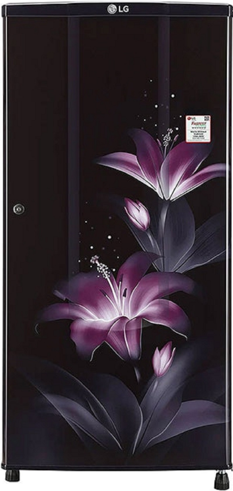 LG 185 L Direct Cool Single Door 2 Star Refrigerator (GL B181RPGC)