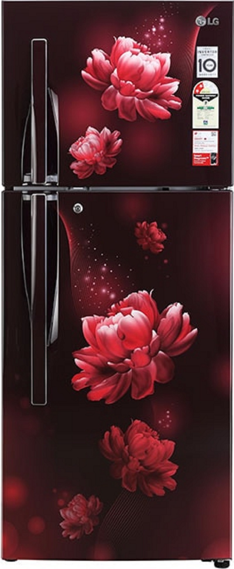 LG 260 L Direct Cool Double Door 2 Star Refrigerator (GL S292RSCY)