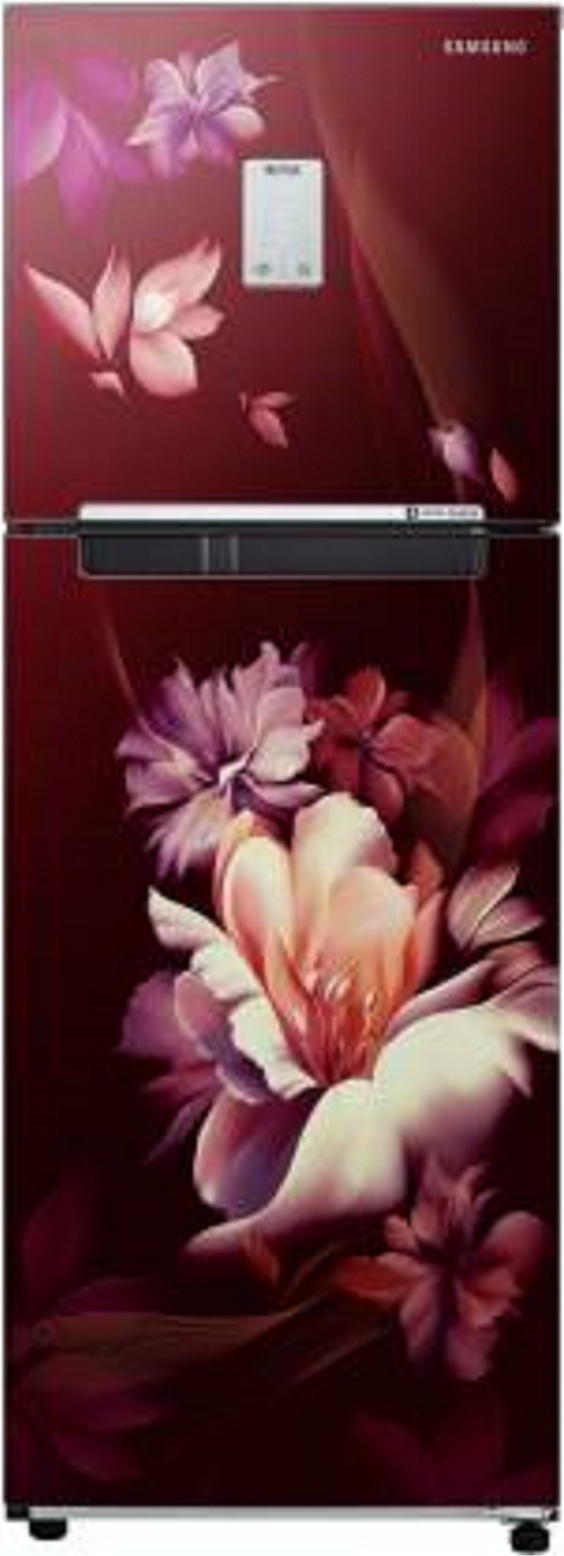 Samsung 244 L Frost Free Double Door 2 Star Refrigerator (RT28B3522RZ/HL)