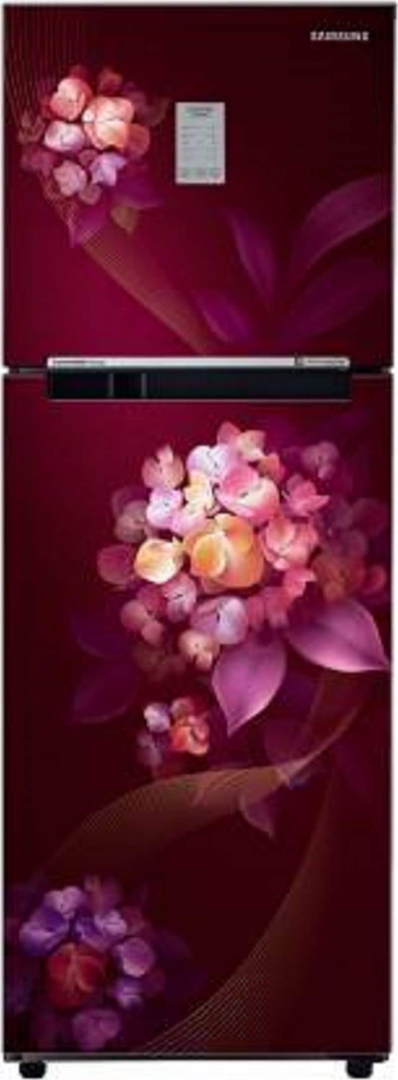 Samsung 236 L Frost Free Double Door 2 Star Refrigerator (RT28C3732HT