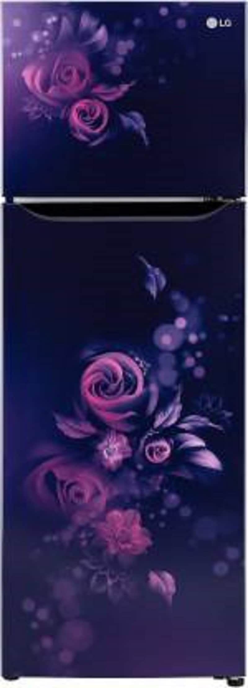 LG 272 L Frost Free Double Door 2 Star Refrigerator (GL S312SBEY) Price